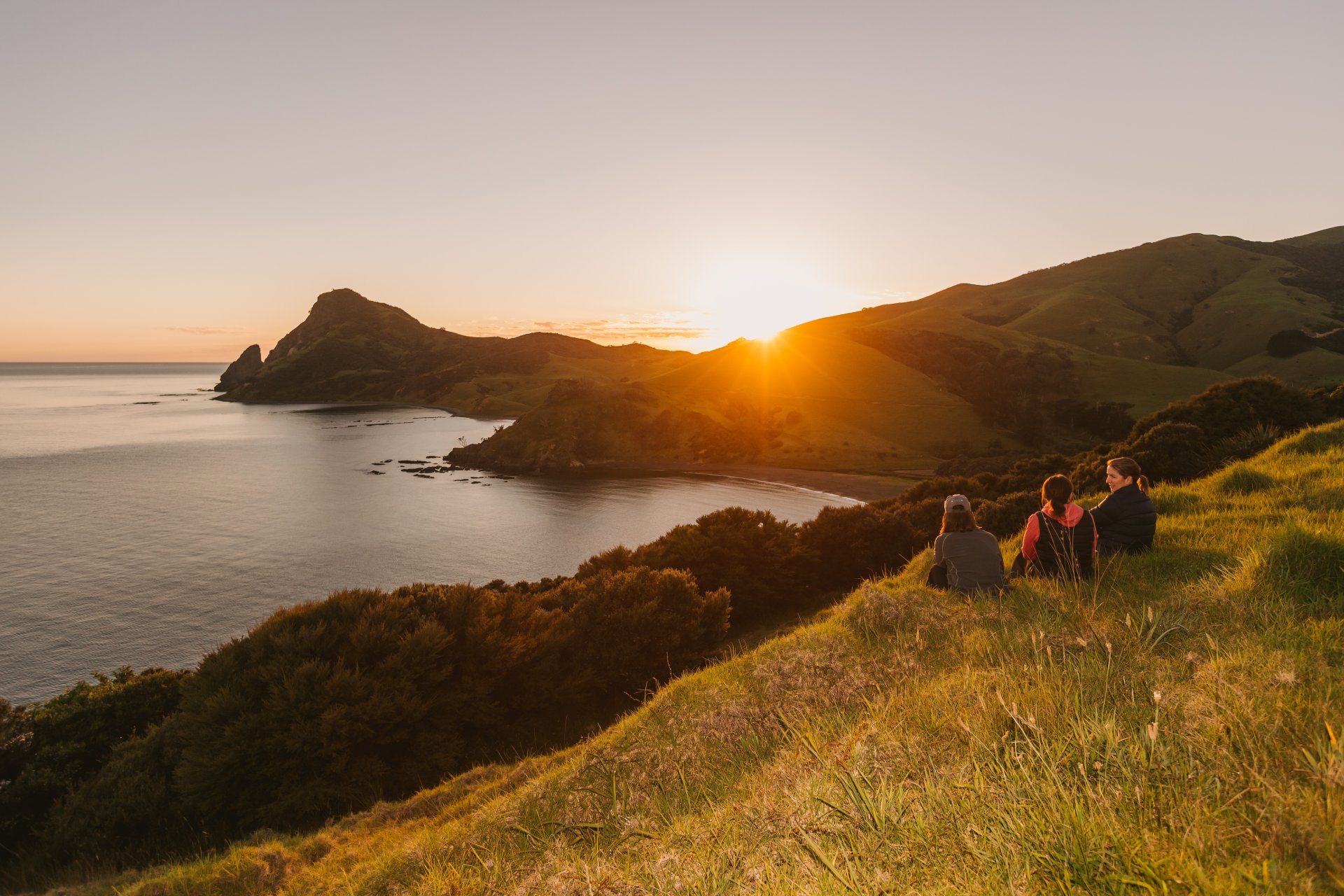 Coromandel