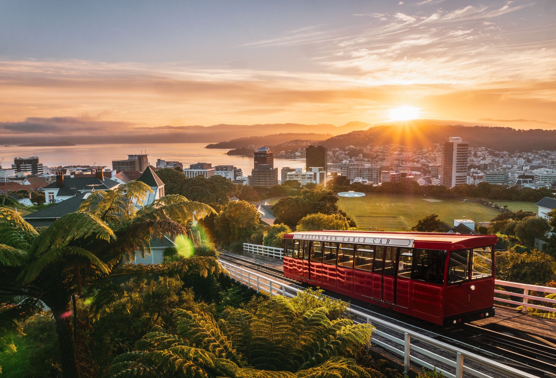 WNZ_Cable Car_14012021_Credit_WellingtonNZ_Johnny Hendrikus (1)-min